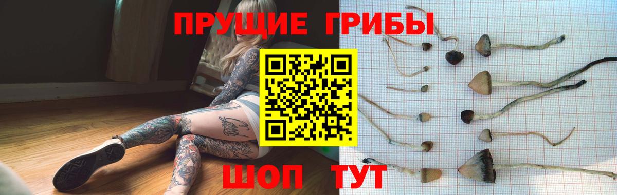 Псилоцибиновые грибы Magic Shrooms  Псилоцибиновые грибы прущие грибы  Ленинск-Кузнецкий  Вход с VPN 